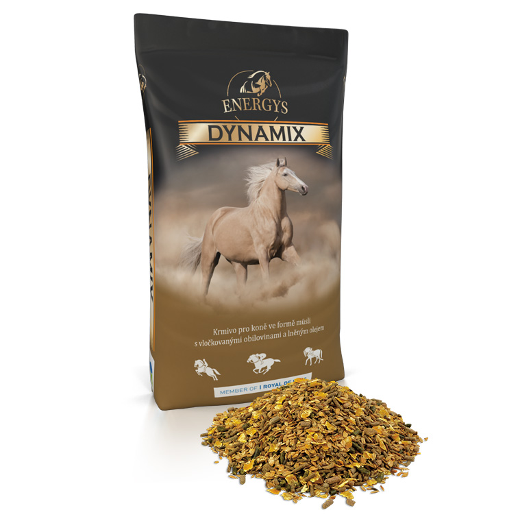 Energys Dynamix 20 kg