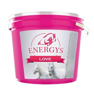 Energys Love pamlsky 2kg